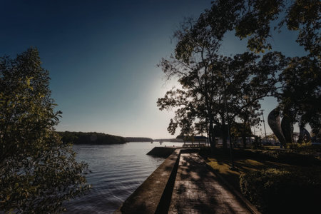 a serene lake scene with trees and a clear sky during sunset