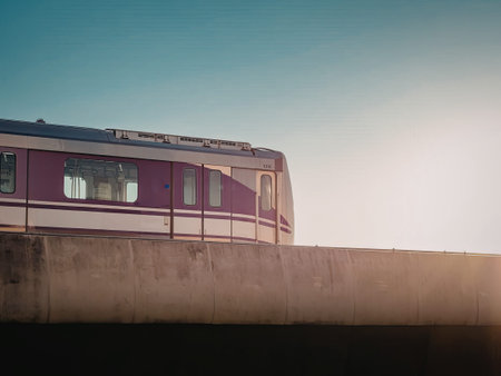 A purple train on a bridge during sunset
