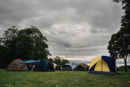 A group of colorful tents set up in a grassy field on a cloudy day.