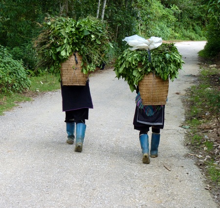 Hmong women in Sapa, Vietnamの写真素材
