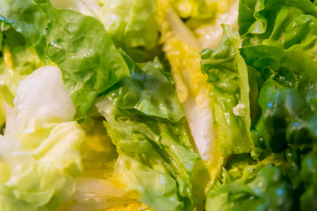 Fresh lettuce salad leaves close up backgroundの写真素材