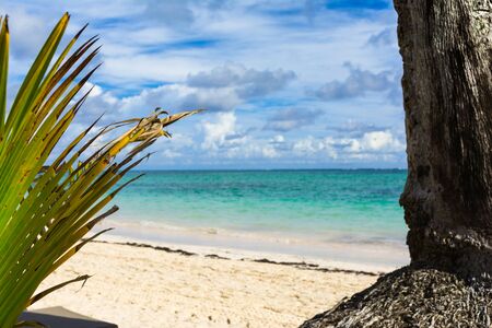 Caribbean sea view, Bavaro Beach, Punta Cana, Dominican Republicの写真素材