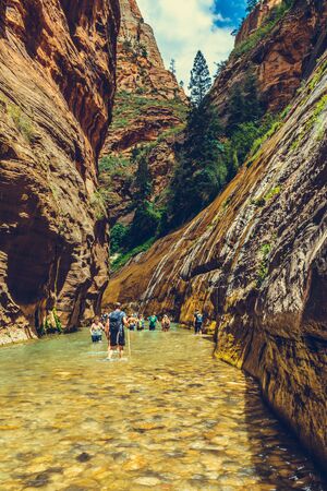 Zion National Park, Utah, USA
