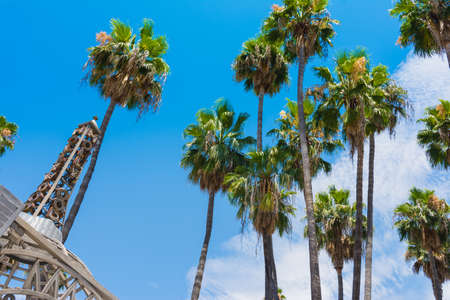 Los Angeles, California, USA - July 22th, 2019: Walk of Fameのeditorial素材
