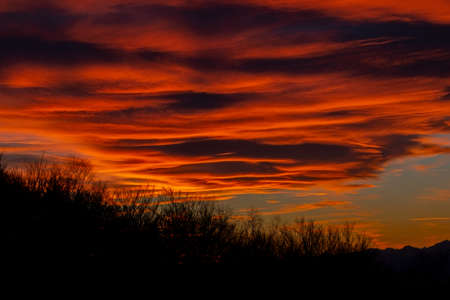 Sunset sky with clouds, colored red, in the foreground some trees without leaves, underexposed on purposeの写真素材