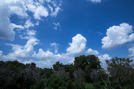 Blue Sky White Clouds