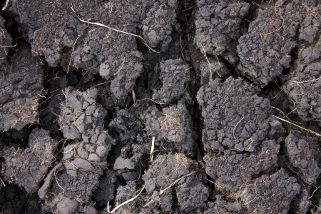 Burnt goundの写真素材