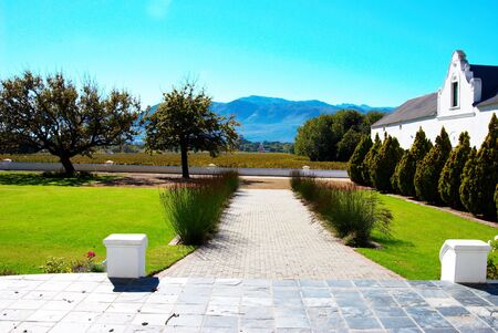 Vineyard on Pleisir de Merle wine farm in autumn. Shot in the morning with blue sky in the background, outside the wine cellar in South Africa.の写真素材