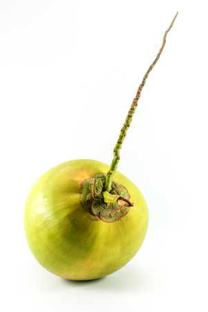 Close up green coconut isolated on white background.の写真素材