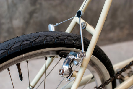 Cantilever brake set for the rear wheel of the vintage bike.