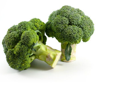 Fresh broccoli isolated on white background. Space for text.