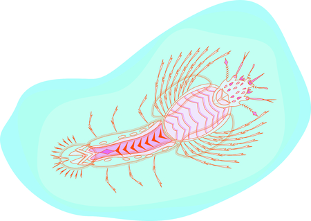 larvaeのイラスト素材