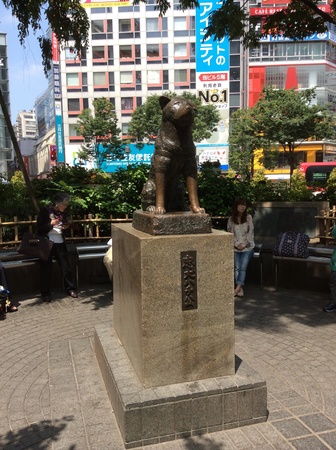 Hachi-ko dog statue at Shibuya station,JAPANの素材