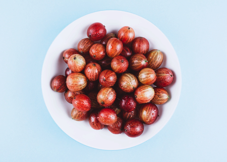 Fresh gooseberries in bowl on blue trendy background. Flat lay style with place for your text.  Colorful diet and healthy food concept.の写真素材