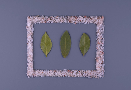 Bay leaves with himalaya salt on dark background. Flat lay style.の写真素材