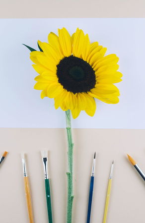 Watercolor and brushes at beige background. Flat lay, top view. Art and education concept.の写真素材