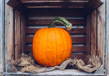 A rustic autumn still life with organic pumpkins in the hay.