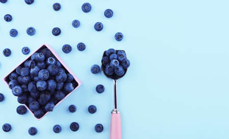 Ripe and juicy fresh picked blueberries on trendy blue background. Flat lay style.の写真素材