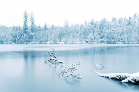 Frozen lake in snowy forest. Black forest, Germany.の写真素材