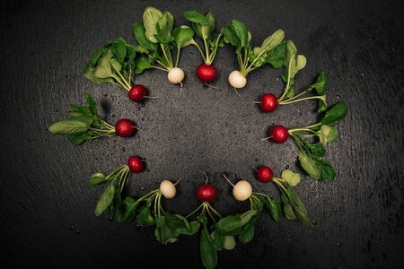 Fresh organic radish frame on black background.の写真素材