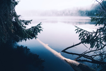 A mystical lake in Germany with forest and fog hanging over the water.の写真素材
