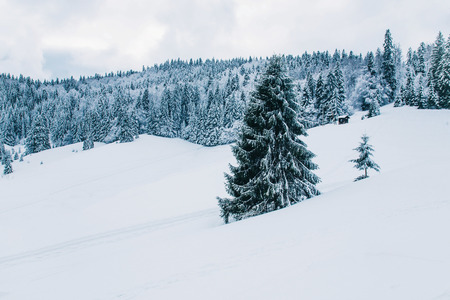 Beautiful winter landscape in the mountains. Cold weather, snow on hills. Black forest, Germany.の写真素材