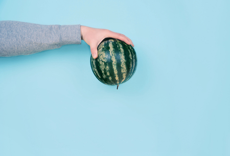 Male hands holding a watermelon.の写真素材
