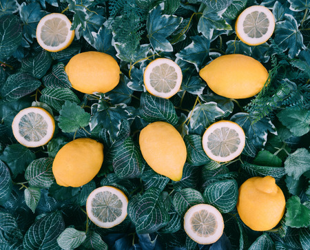 Citrus background. Assorted fresh lemon fruits with leaves.の写真素材