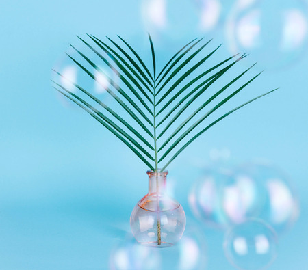 Minimal pure composition with palm leaf in a vase on pastel background. Creative minimal concept.
