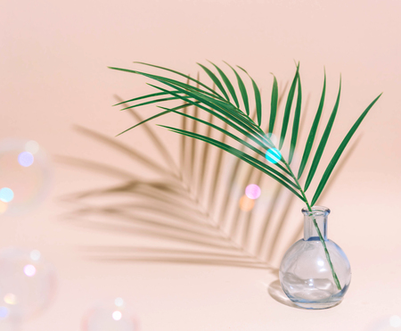 Minimal pure composition with palm leaf in a vase on pastel background. Creative minimal concept.の写真素材