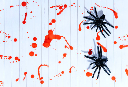 Black and white spiders on a white background covered with blood, Halloween.の写真素材