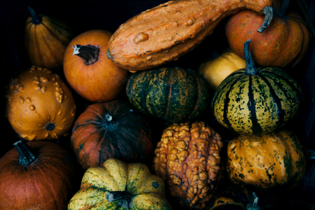 A rustic autumn still life with organic pumpkins in the hay.の写真素材