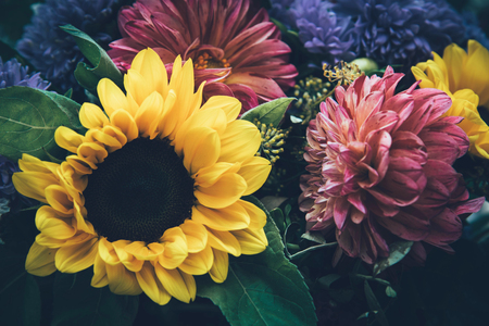 Beautiful fairy dreamy magic autumn flowers with dark leaves background.の写真素材