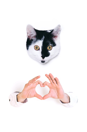 Young man forming shape of heart with his hands on white background.の写真素材