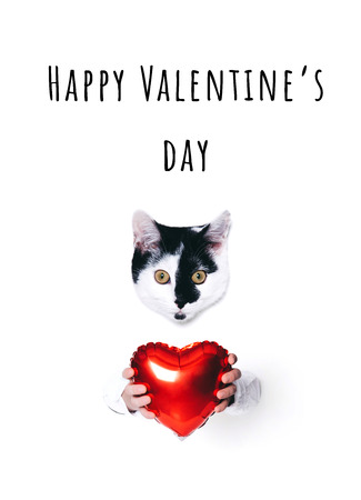 Cute cat holding a heart on white background. Minimal art style.の写真素材