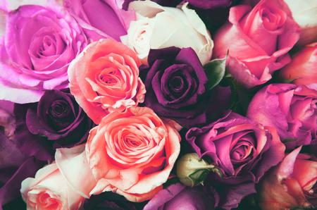 Pink, white and yellow roses background. Retro vintage filter.の写真素材