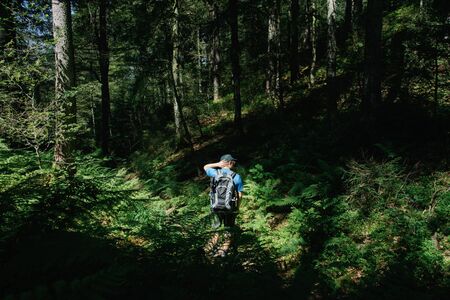 Hiker With A Backpack Standing In A Forest. Travel conceptの写真素材