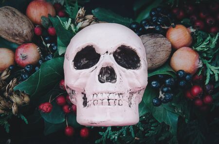 Beautiful fairy dreamy magic autumn flowers with dark leaves background.
