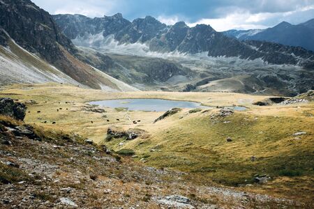 View of beautiful moody landscape in the Alps. Switzerland, Bella Tola.