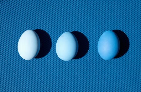 Painted eggs on pastel background. Creative minimal concept.の写真素材