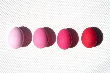 Painted eggs on pastel background. Creative minimal concept.の写真素材