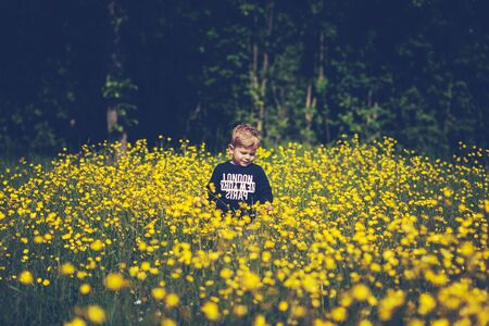 little cute boy child in a wonderful field of yellow flowers smiling and laughingの写真素材