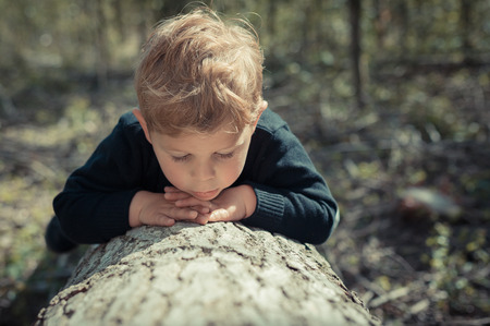 Little boy child lying on a tree chopped exploring the natureの写真素材