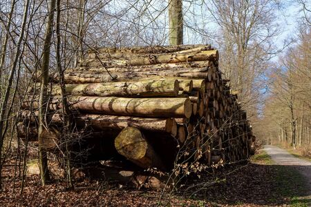 pile of wood logs next to a wood pathway