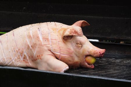 fresh pig prepared to be grilled with cut skin and an apple in the mouthの写真素材