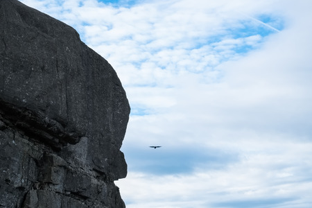 bird floating high up in the air near to a vertical naked mountain sideの写真素材