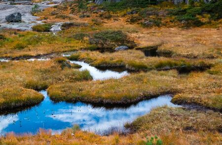 swamp or marshland on an open plain in the mountains surrounding lysefjord in norway