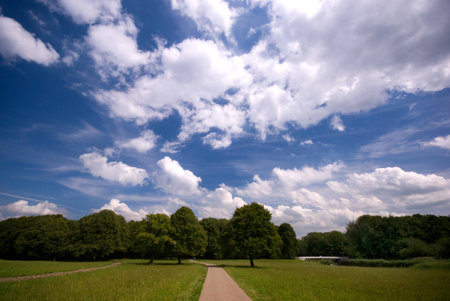 Cloudy blue sky above a nice green parkの写真素材
