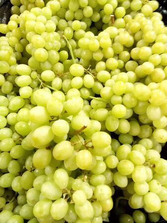 Green juicy and sweet grapes at marketの素材