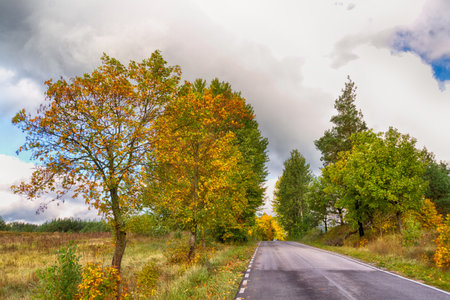 Landscape autumn with colorful trees, autumn Poland, Europe and amazing blue sky with clouds, sunny dayの写真素材